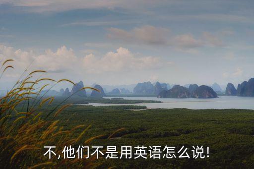 不,他們不是用英語怎么說!