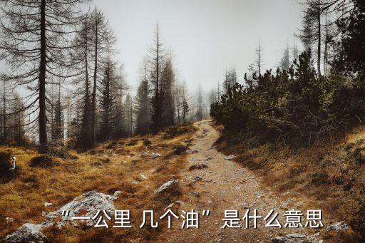 “一公里 幾個(gè)油”是什么意思