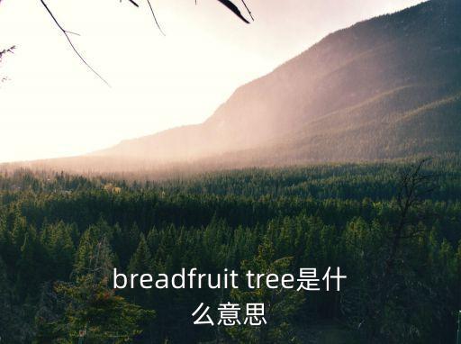 breadfruit tree是什么意思