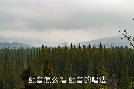 顫音怎么唱,第二集:音符符合標準音符集合五大特色