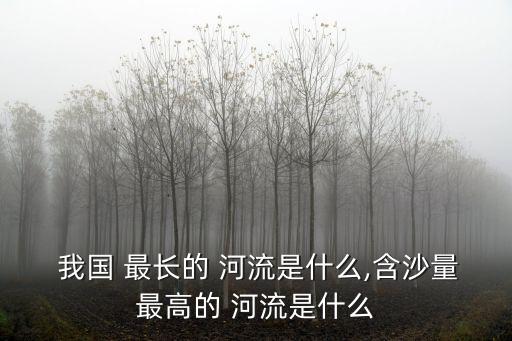  我國 最長的 河流是什么,含沙量最高的 河流是什么