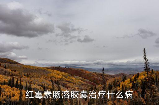 紅霉素腸溶膠囊治療什么病