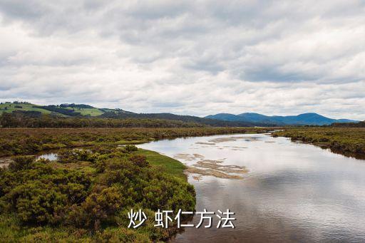 炒 蝦仁方法
