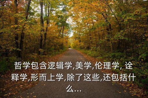哲學包含邏輯學,美學,倫理學, 詮釋學,形而上學,除了這些,還包括什么...