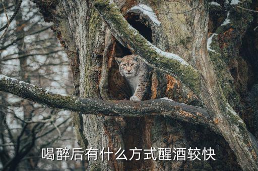 喝醉后有什么方式醒酒較快