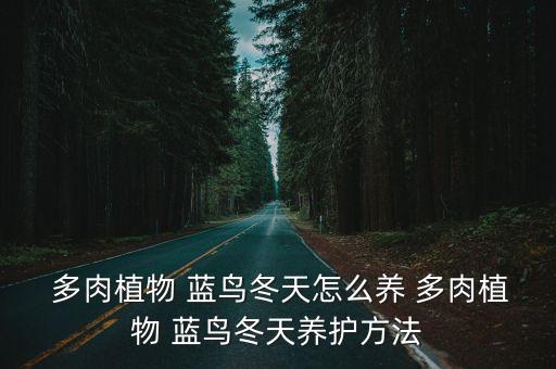 藍鳥多肉,藍粉鳥怎么爆側芽?可用砍頭法和分株法
