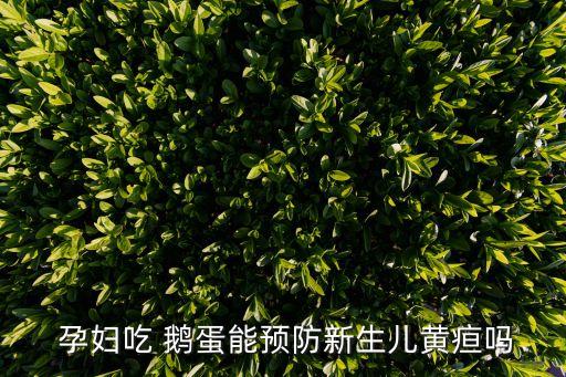 孕婦吃鵝蛋對胎兒有什么好處