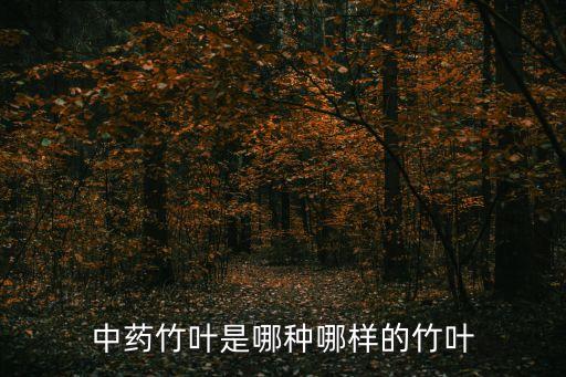 中藥竹葉是哪種哪樣的竹葉