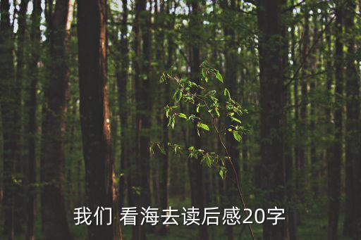 我們 看海去讀后感20字
