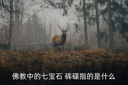 硨磲貝,珍珠也能當硨磲!