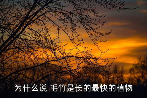 為什么說 毛竹是長(zhǎng)的最快的植物