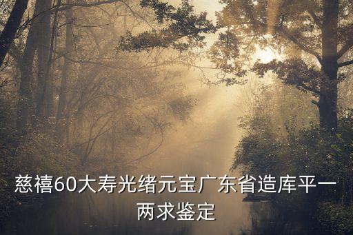 慈禧六十大壽，慈禧太后60大壽紀念幣一共有幾枚