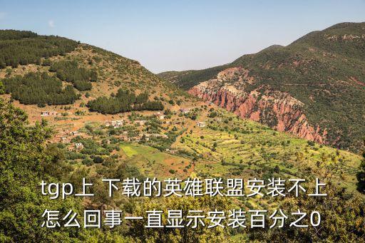  tgp上 下載的英雄聯盟安裝不上怎么回事一直顯示安裝百分之0