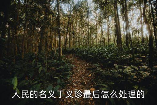 人民的名義丁義珍，人民的名義 丁義珍多少集被抓回國的