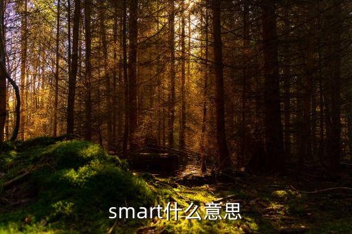 smart什么意思