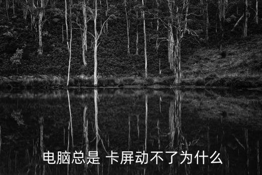  電腦總是 卡屏動(dòng)不了為什么