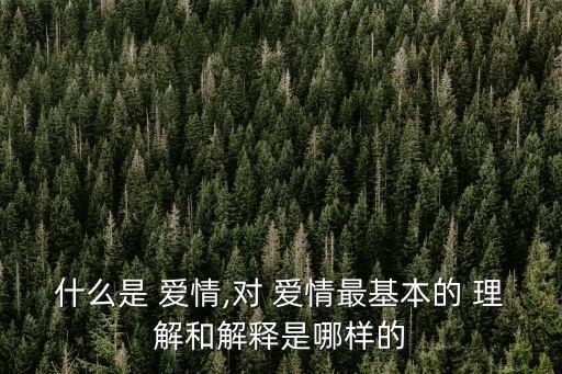 對愛情的理解,愛情本身就是一種感情的升華