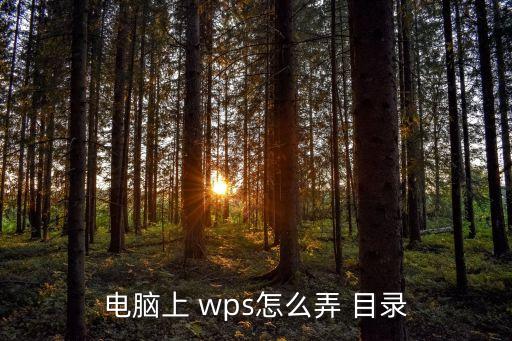 電腦上 wps怎么弄 目錄