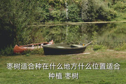  棗樹適合種在什么地方什么位置適合 種植 棗樹