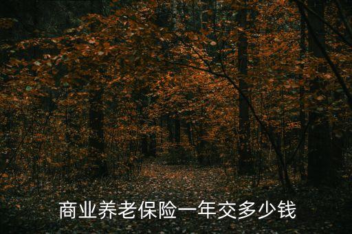 商業(yè)保險多少錢,汽車保險知多少?