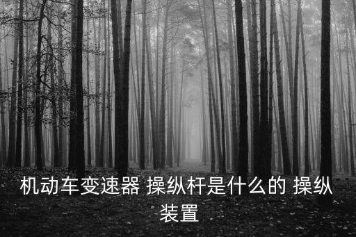 機(jī)動車變速器 操縱桿是什么的 操縱 裝置