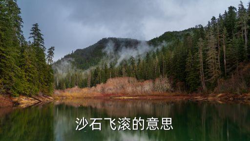 飛沙走石的意思,沙漠中的船?沙巴走石