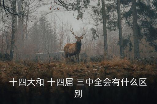 十四大和 十四屆 三中全會有什么區別