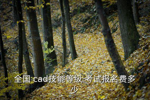 cad考試,考試通過后由人力部頒發(fā)崗位能力證書