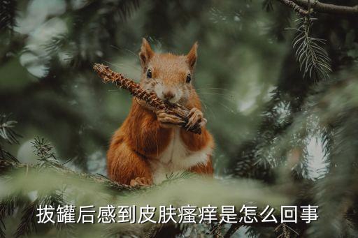 拔罐后感到皮膚瘙癢是怎么回事