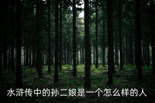 水滸傳孫二娘，關(guān)于水滸孫二娘