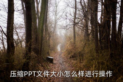如何壓縮ppt文件大小，壓縮PPT文件大小怎么樣進行操作