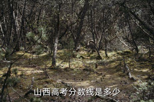 山西省高考分?jǐn)?shù)線，今年山西省的高考錄取分?jǐn)?shù)線為多少