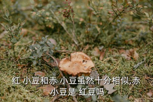 紅 小豆和赤 小豆雖然十分相似,赤 小豆是 紅豆嗎