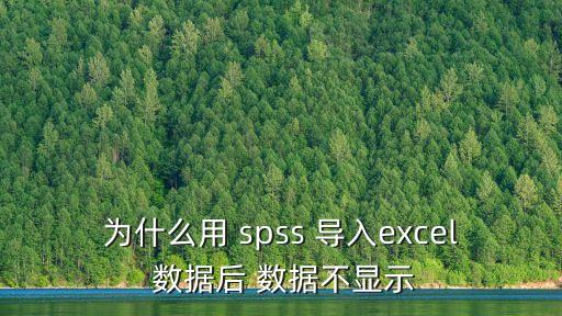為什么用 spss 導(dǎo)入excel 數(shù)據(jù)后 數(shù)據(jù)不顯示