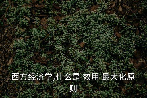 效用最大化,如何買到最大化的效用?