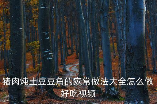 豬肉燉土豆豆角的家常做法大全怎么做好吃視頻