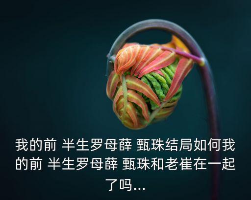 我的前半生薛甄珠,我的ex半生羅甄珠是怎么結(jié)束的?