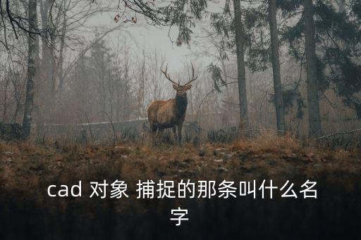 cad對象捕捉,怎么用對象捕捉軟件教你