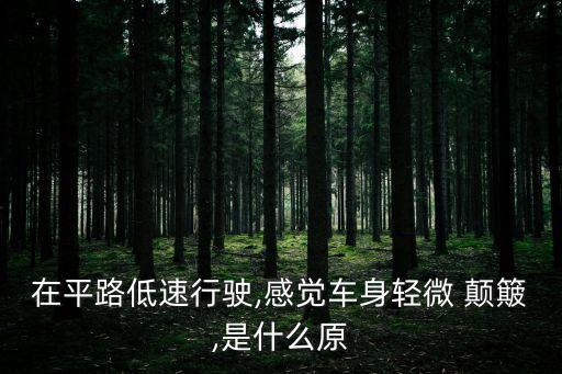 顛簸,汽車在高速公路上行駛時感覺顛簸