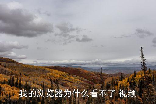 我的瀏覽器為什么看不了 視頻