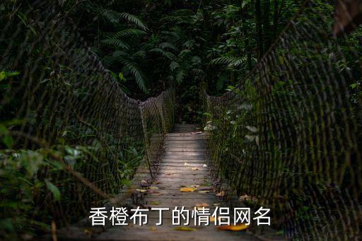 香橙布丁的情侶網名