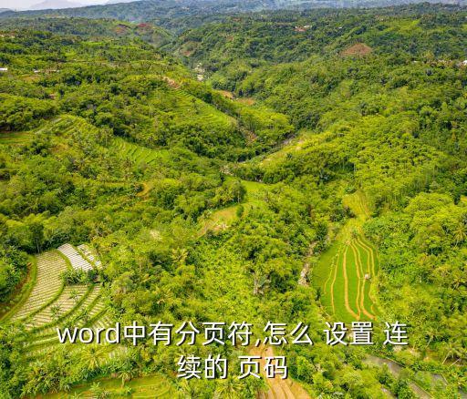 word中有分頁符,怎么 設置 連續的 頁碼