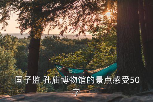 孔廟國子監(jiān),北京國子監(jiān)有免費(fèi)手冊(cè)講解和大屏幕講解
