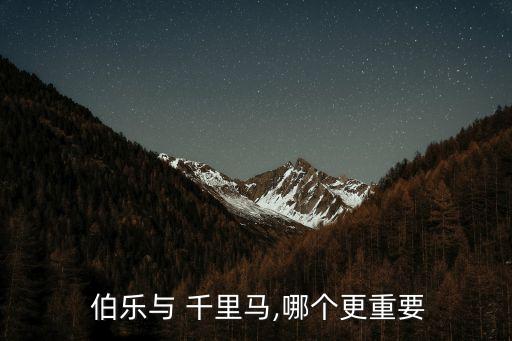  伯樂與 千里馬,哪個更重要