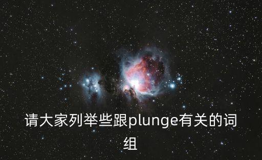 請大家列舉些跟plunge有關的詞組