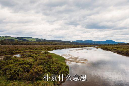  樸素什么意思