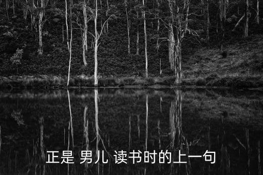 正是 男兒 讀書時的上一句