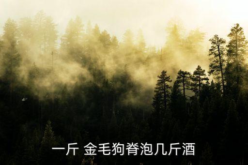 金毛狗脊,一斤金毛慈濟(jì)需要10斤酒金毛狗脊含淀粉30%