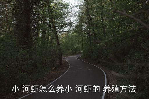 小 河蝦怎么養(yǎng)小 河蝦的 養(yǎng)殖方法