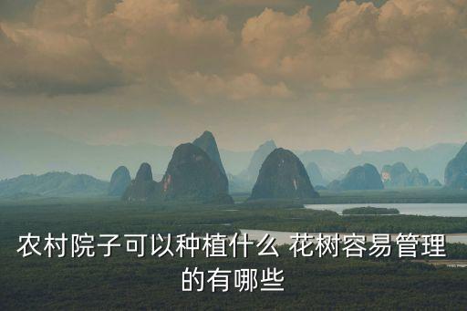 農(nóng)村院子可以種植什么 花樹容易管理的有哪些